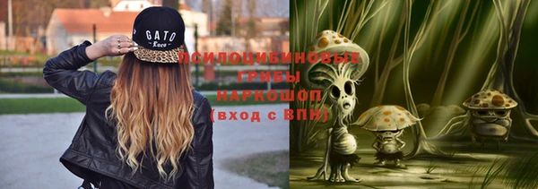 стаф Нефтекумск