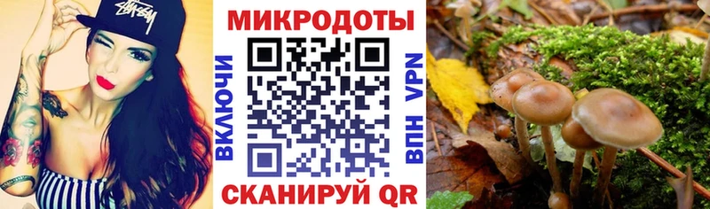 ссылка на мегу сайт  Иноземцево  Галлюциногенные грибы ЛСД 